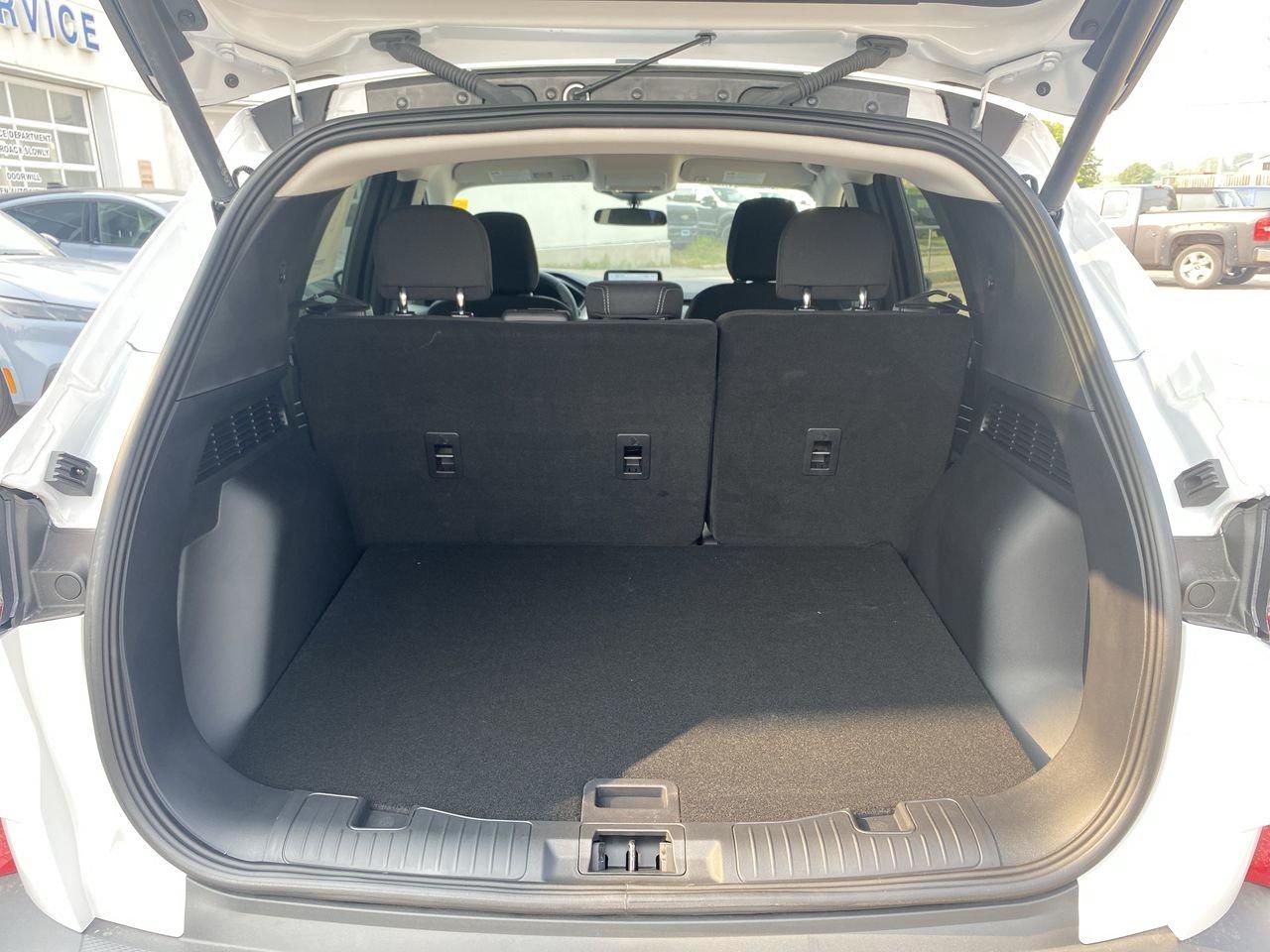 2025 Ford Escape Active Photo