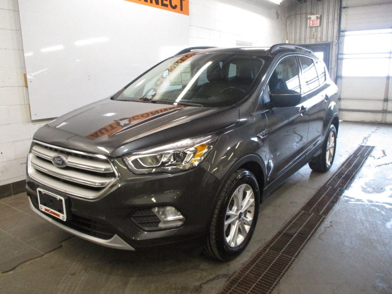 2018 Ford Escape SEL Photo