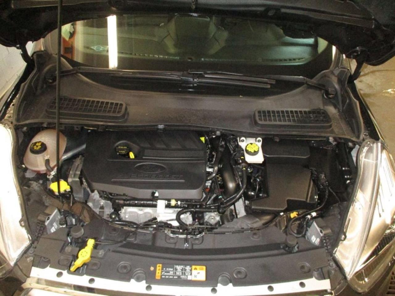 2018 Ford Escape SEL Photo