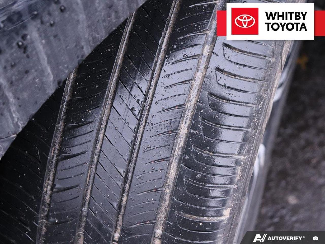 2022 Toyota Camry Hybrid SE 2.5L Photo