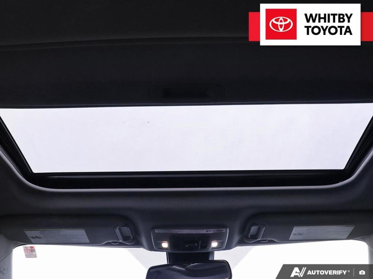 2022 Toyota Camry Hybrid SE 2.5L Photo