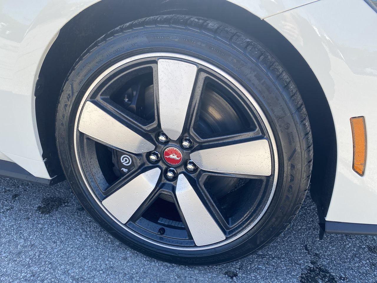 2025 Ford Mustang Fastback GT PREMIUM Photo