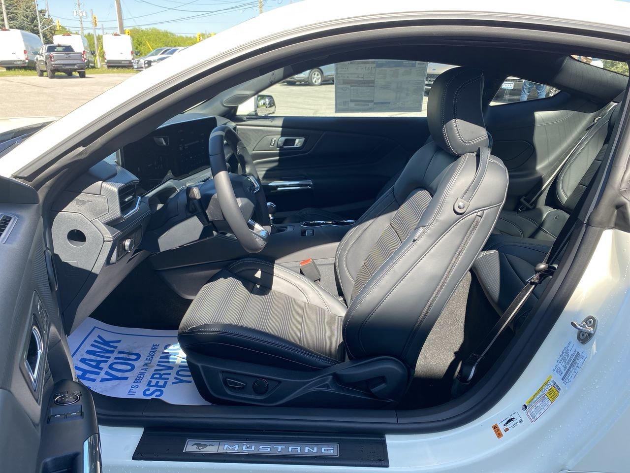 2025 Ford Mustang Fastback GT PREMIUM Photo