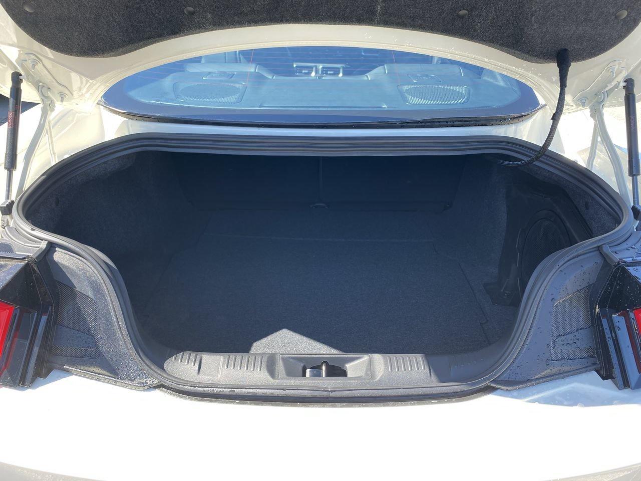 2025 Ford Mustang Fastback GT PREMIUM Photo