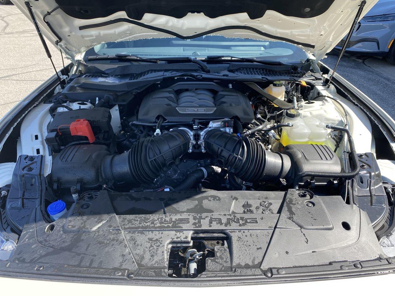 2025 Ford Mustang Fastback GT PREMIUM Photo