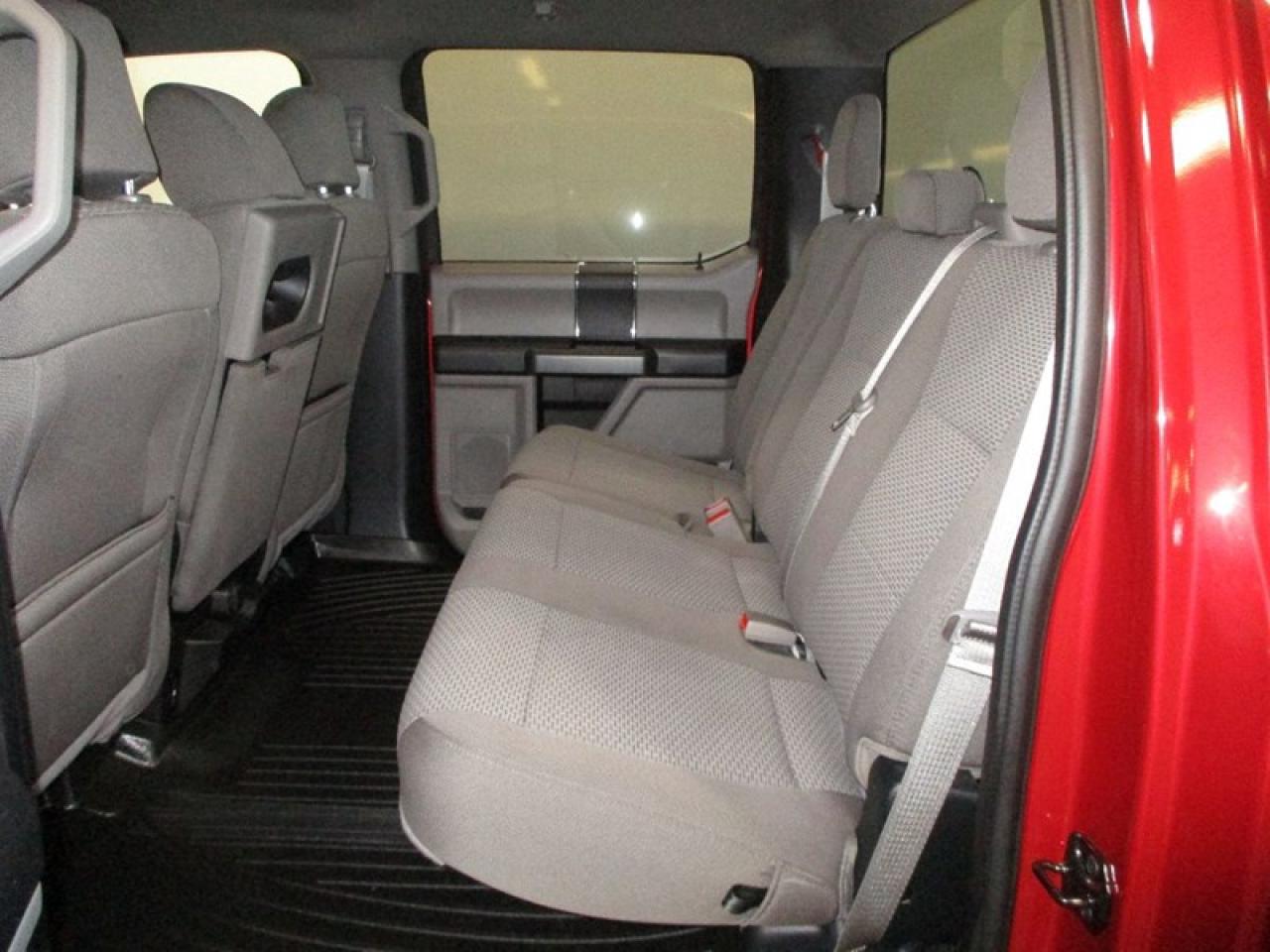 2020 Ford F-150 XLT 5.5-ft.Bed Photo