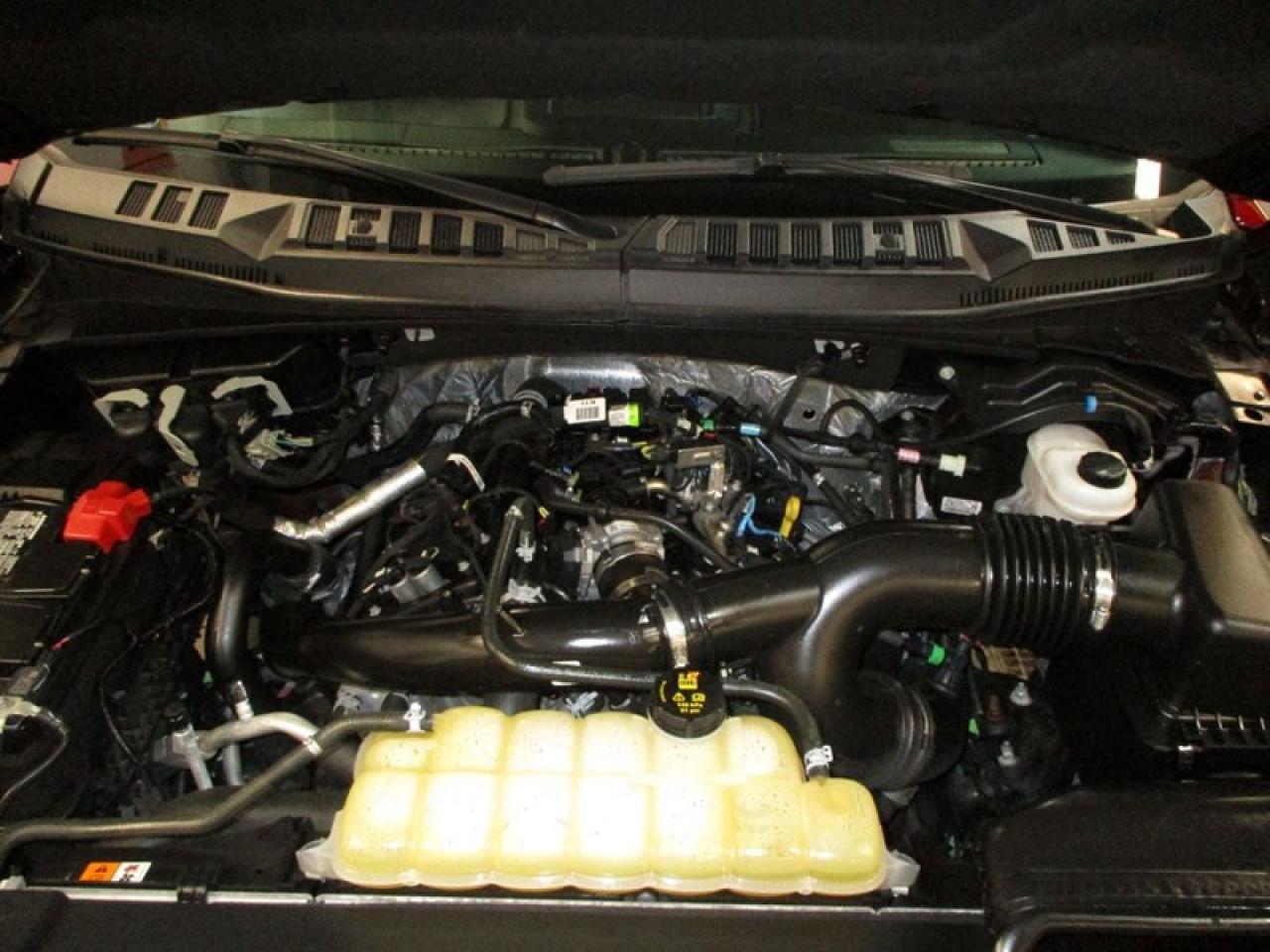 2020 Ford F-150 XLT 5.5-ft.Bed Photo