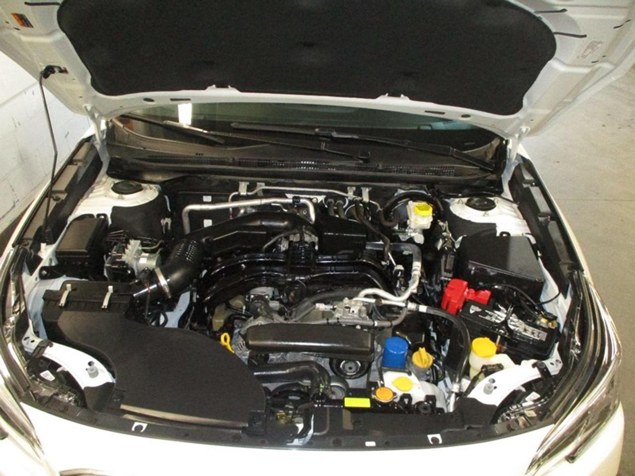 2020 Subaru Outback Premium Photo