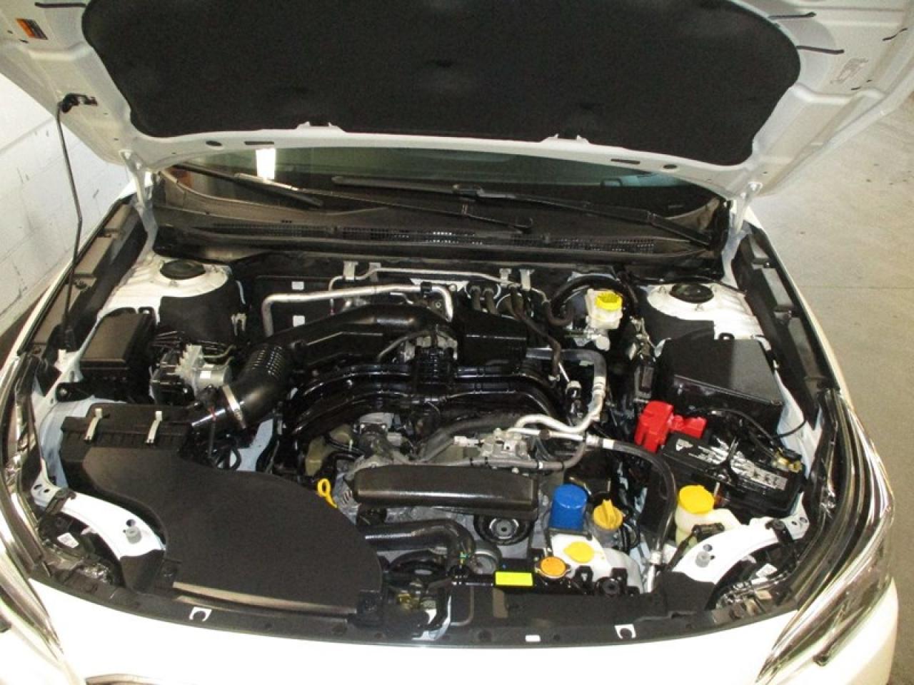 2020 Subaru Outback Premium Photo