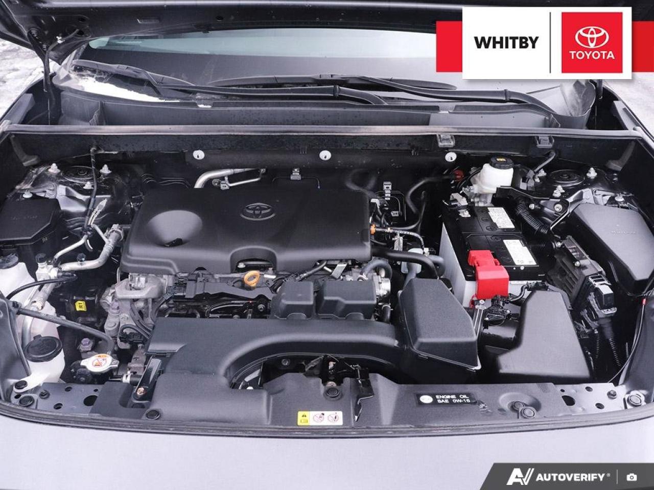 2023 Toyota RAV4 XLE PREMIUM 2.5L Photo