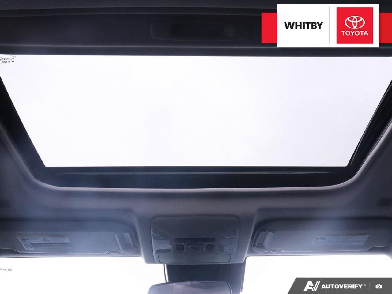 2023 Toyota RAV4 XLE PREMIUM 2.5L Photo