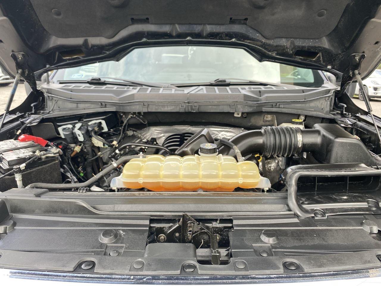 2022 Ford F-150  Photo