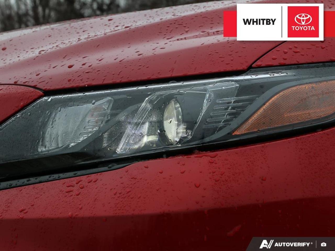 2022 Toyota Camry SE 2.5L Photo