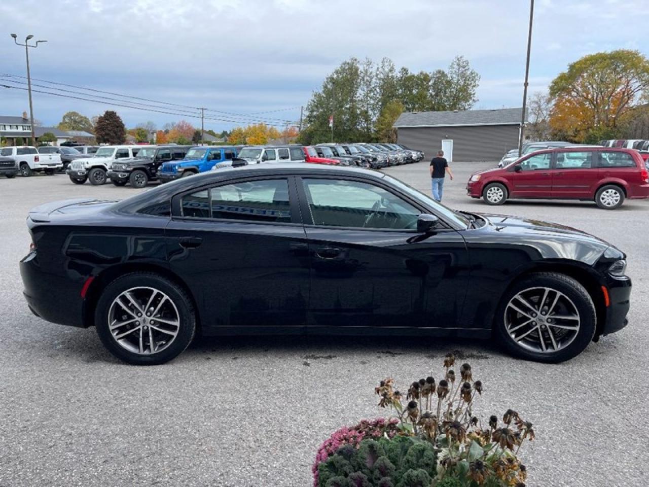 2019 Dodge Charger SXT AWD Photo4