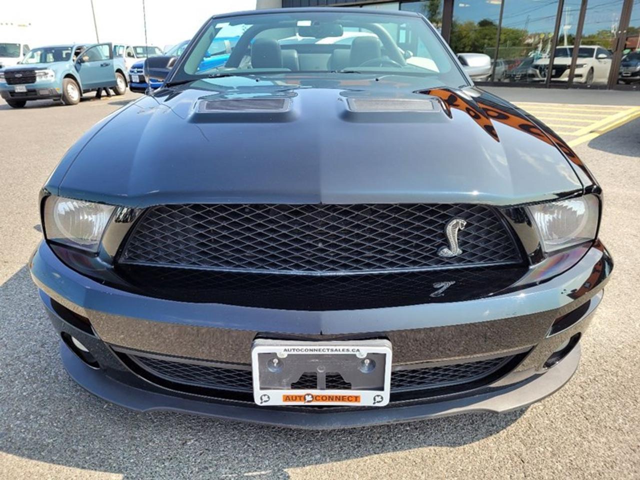 2007 Ford Shelby GT500 Convertible Photo