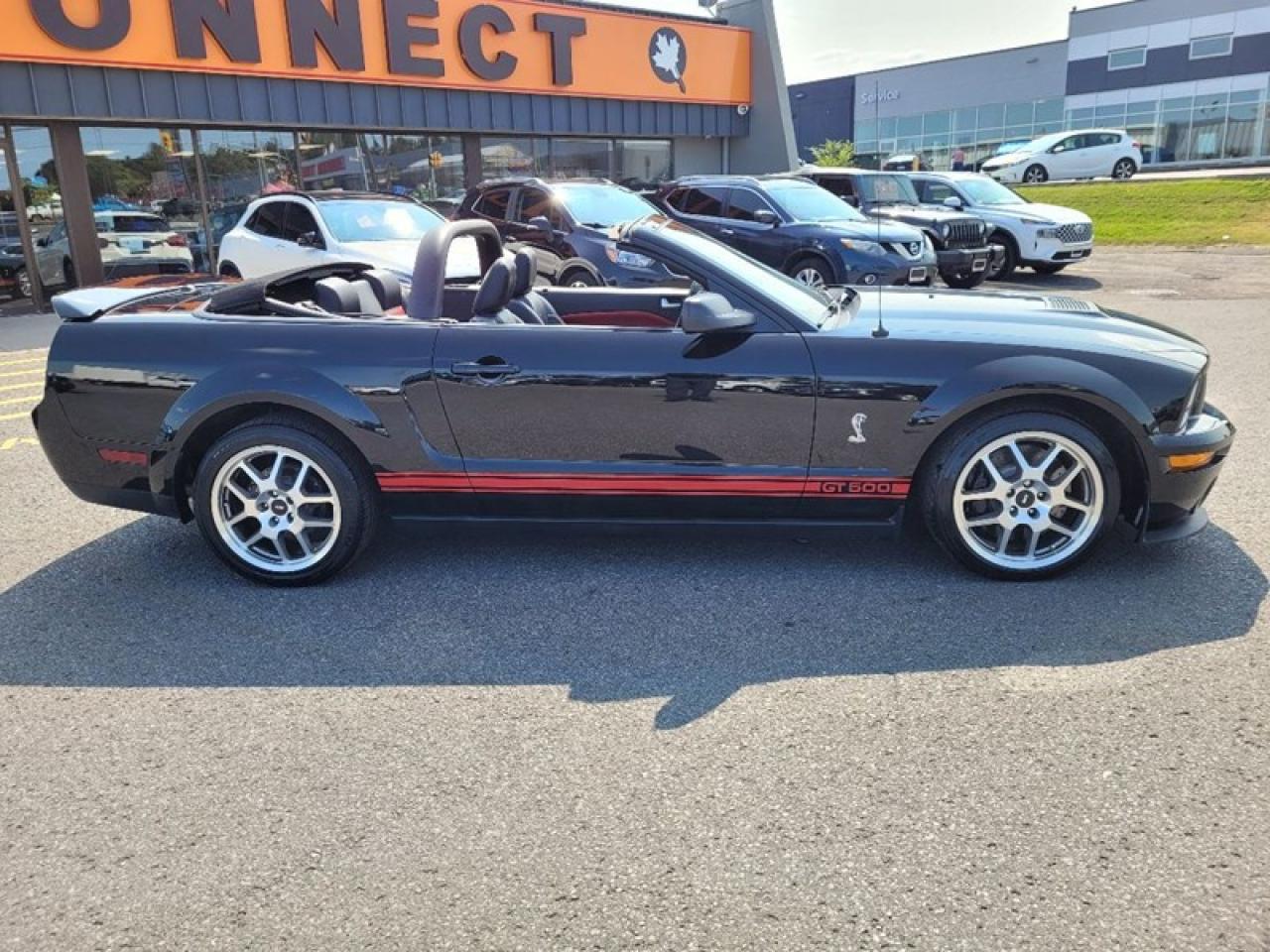 2007 Ford Shelby GT500 Convertible Photo