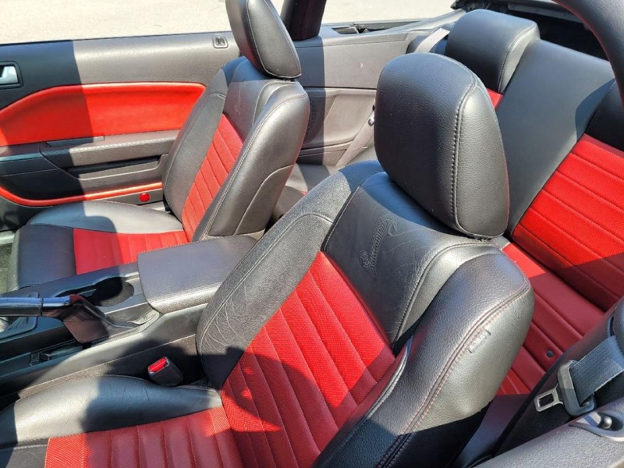 2007 Ford Shelby GT500 Convertible Photo