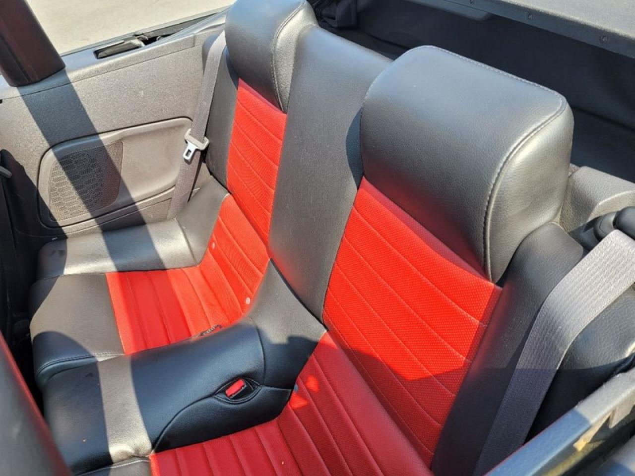 2007 Ford Shelby GT500 Convertible Photo