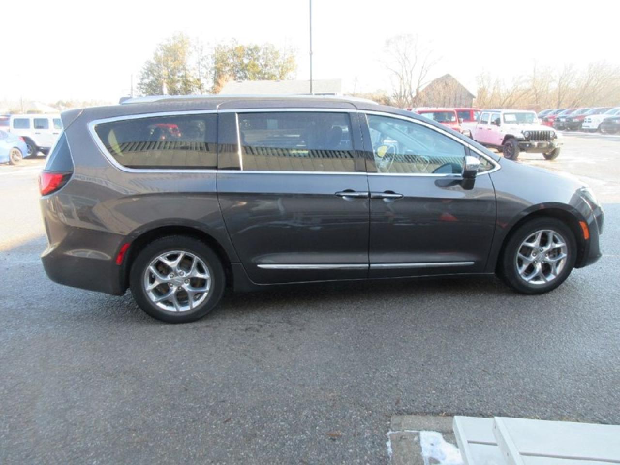 2019 Chrysler Pacifica Limited Photo