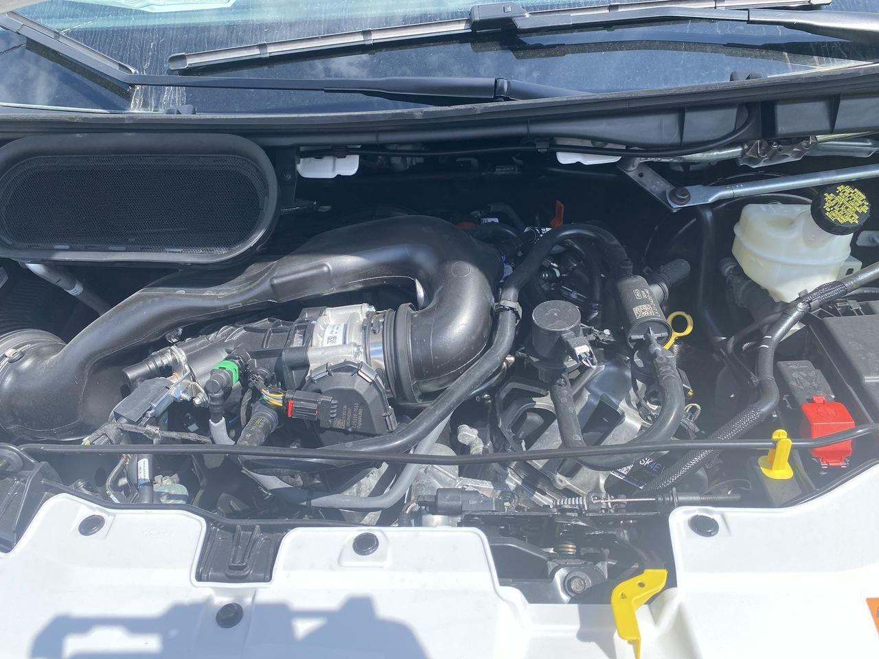 2025 Ford Transit T250 PASS SLIDE 148 EL Photo