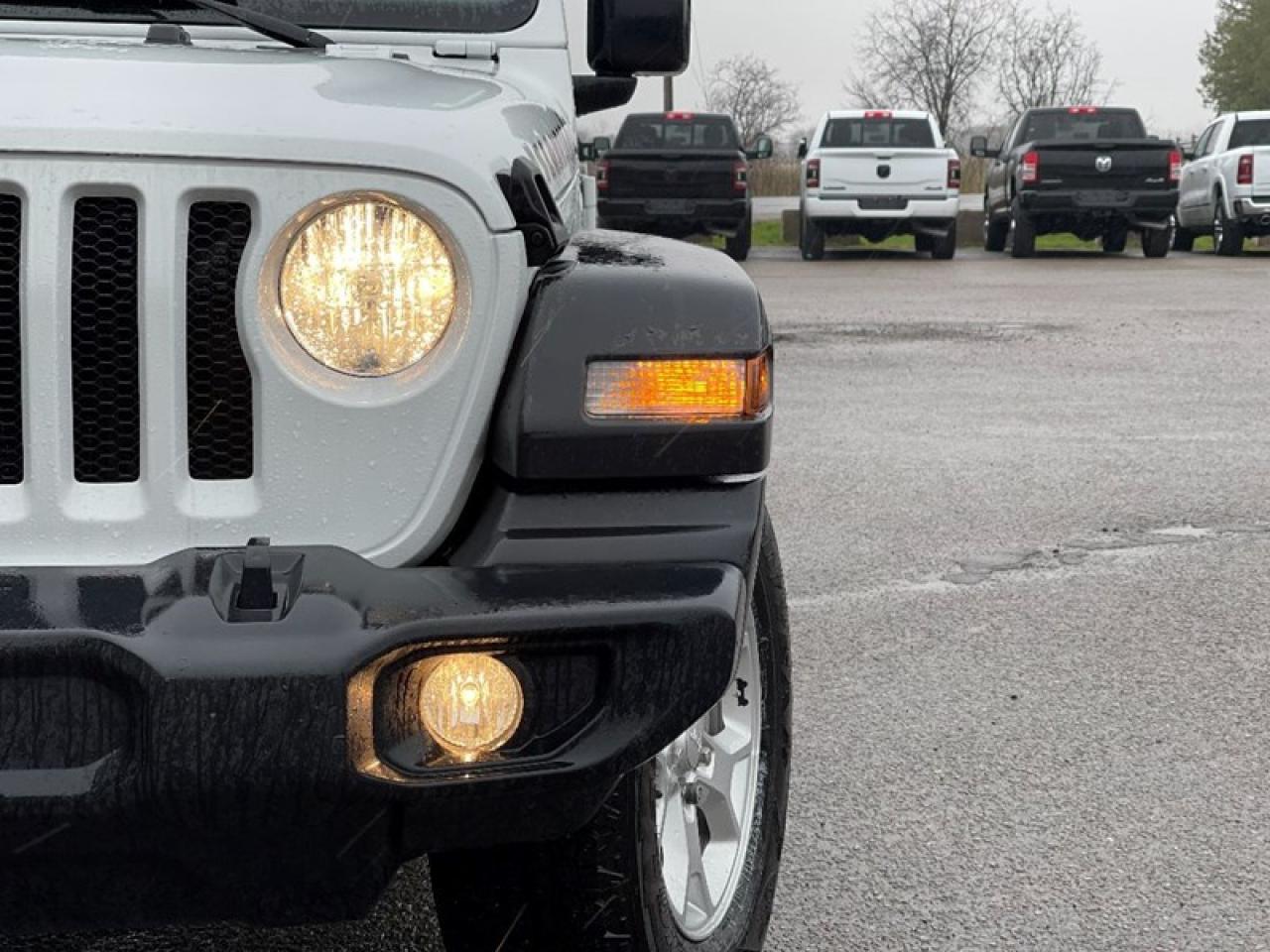 2021 Jeep Wrangler Unlimited Photo