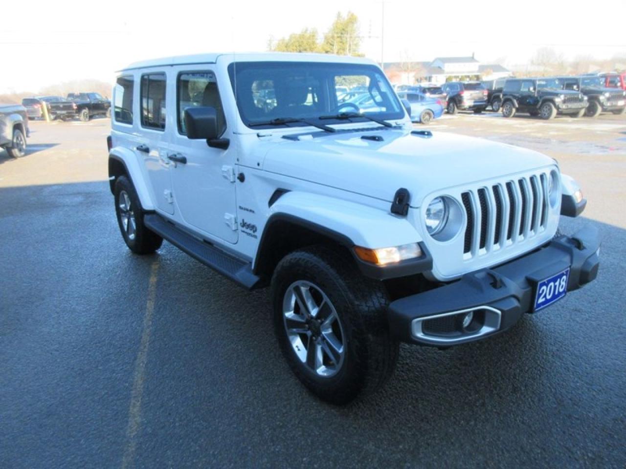 2018 Jeep Wrangler Unlimited Sahara Photo