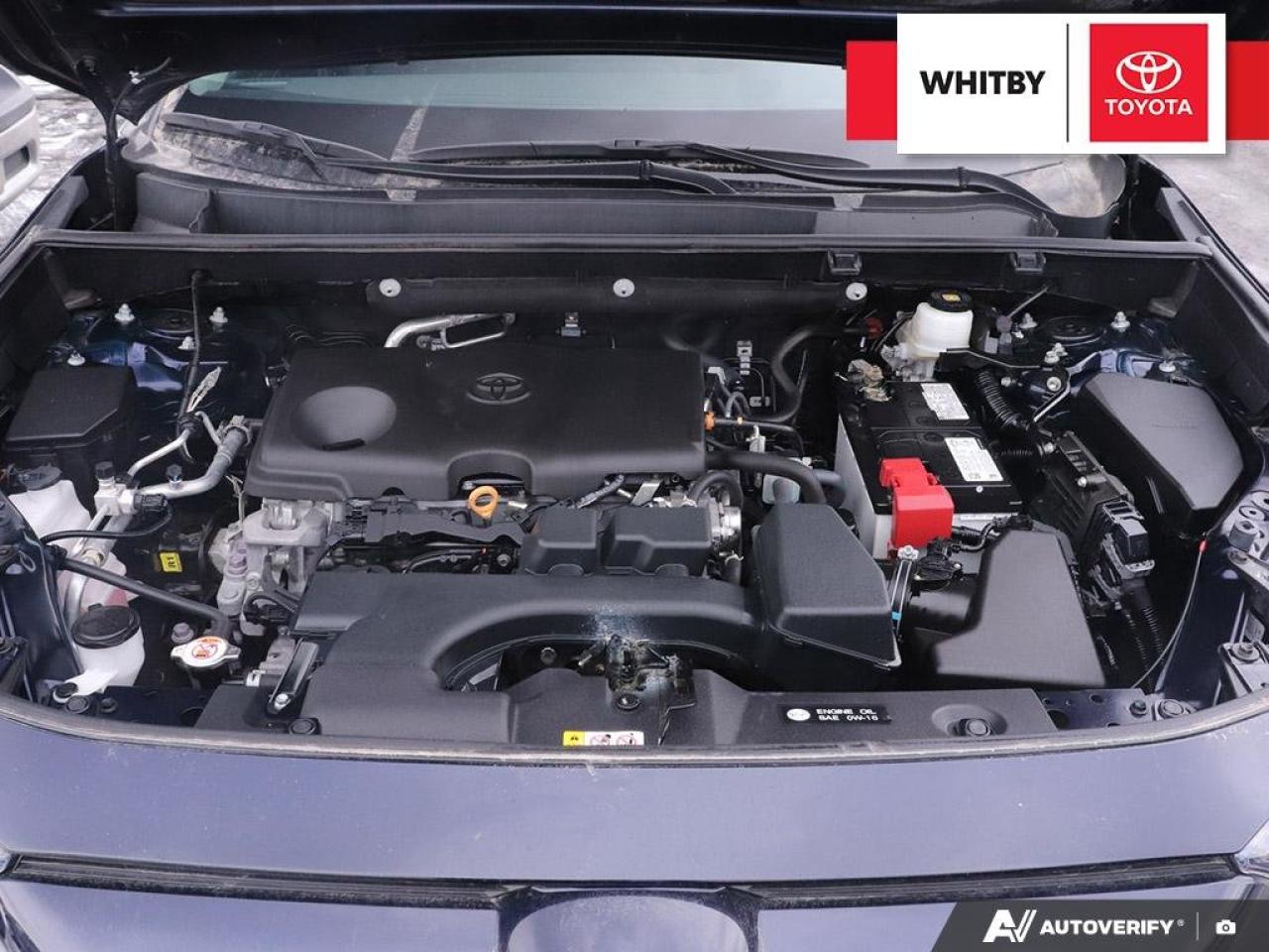 2023 Toyota RAV4 XLE 2.5L Photo