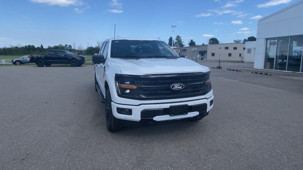 2025 Ford F-150 XLT Photo2