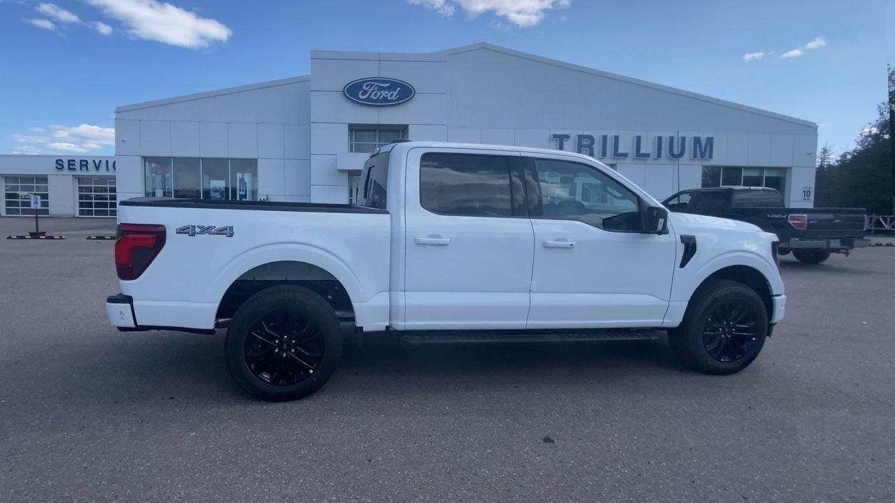 2025 Ford F-150 XLT Photo