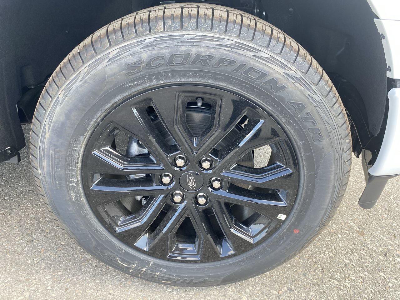 2025 Ford F-150 XLT Photo