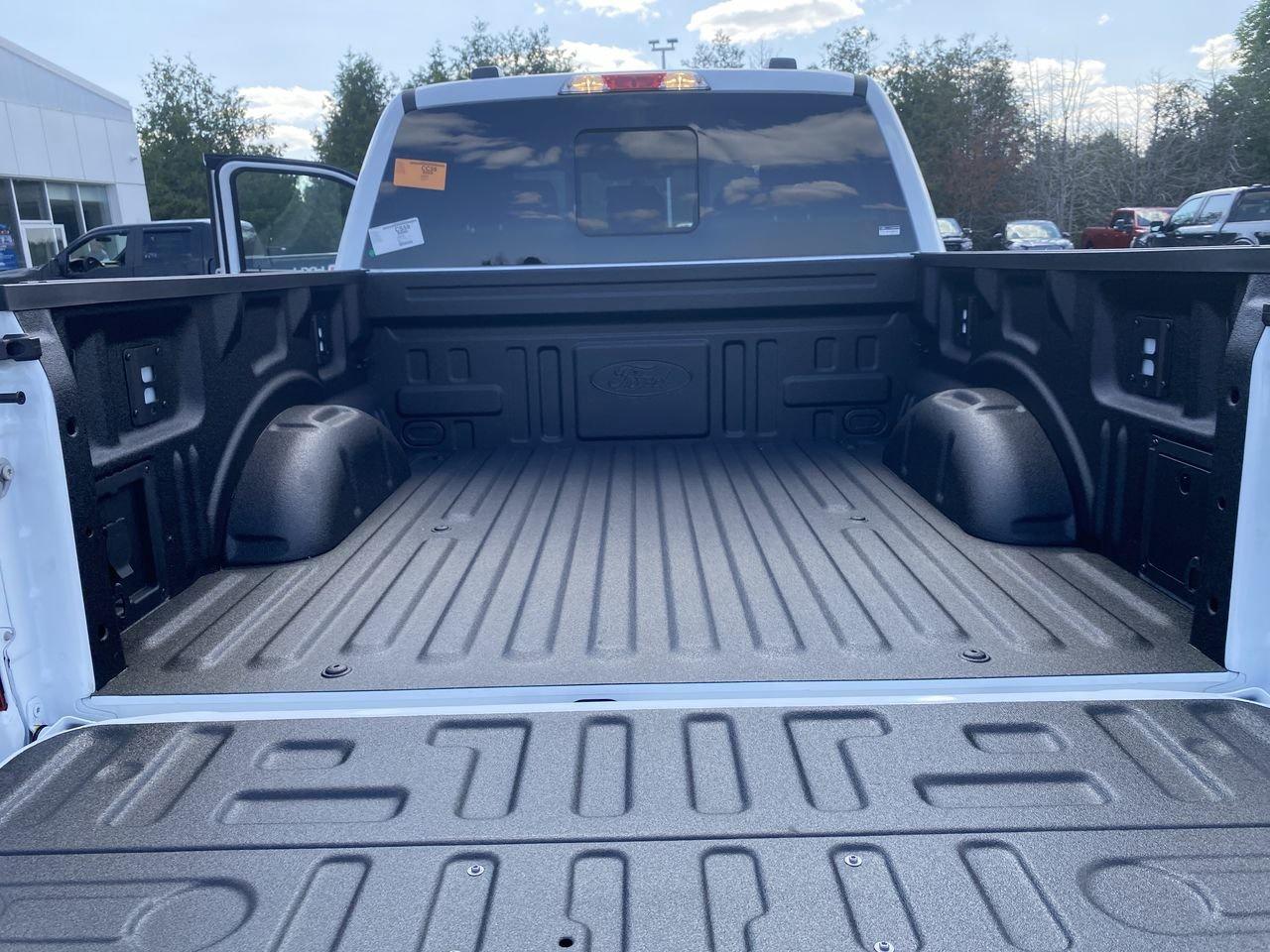 2025 Ford F-150 XLT Photo