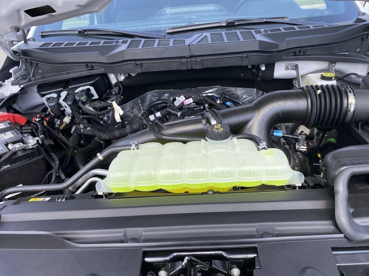 2025 Ford F-150 XLT Photo