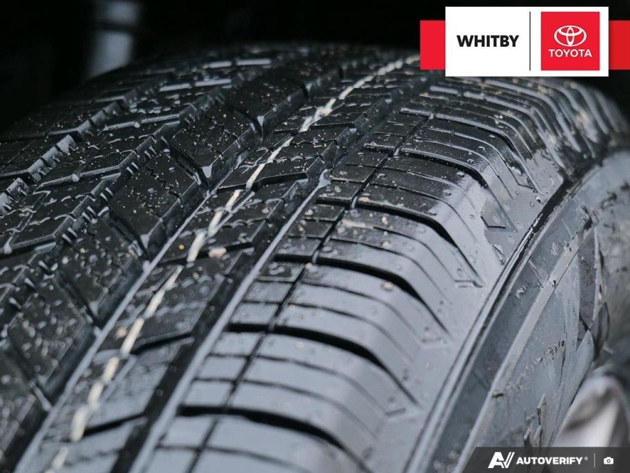 2022 Toyota RAV4 Hybrid LE 2.5L Photo