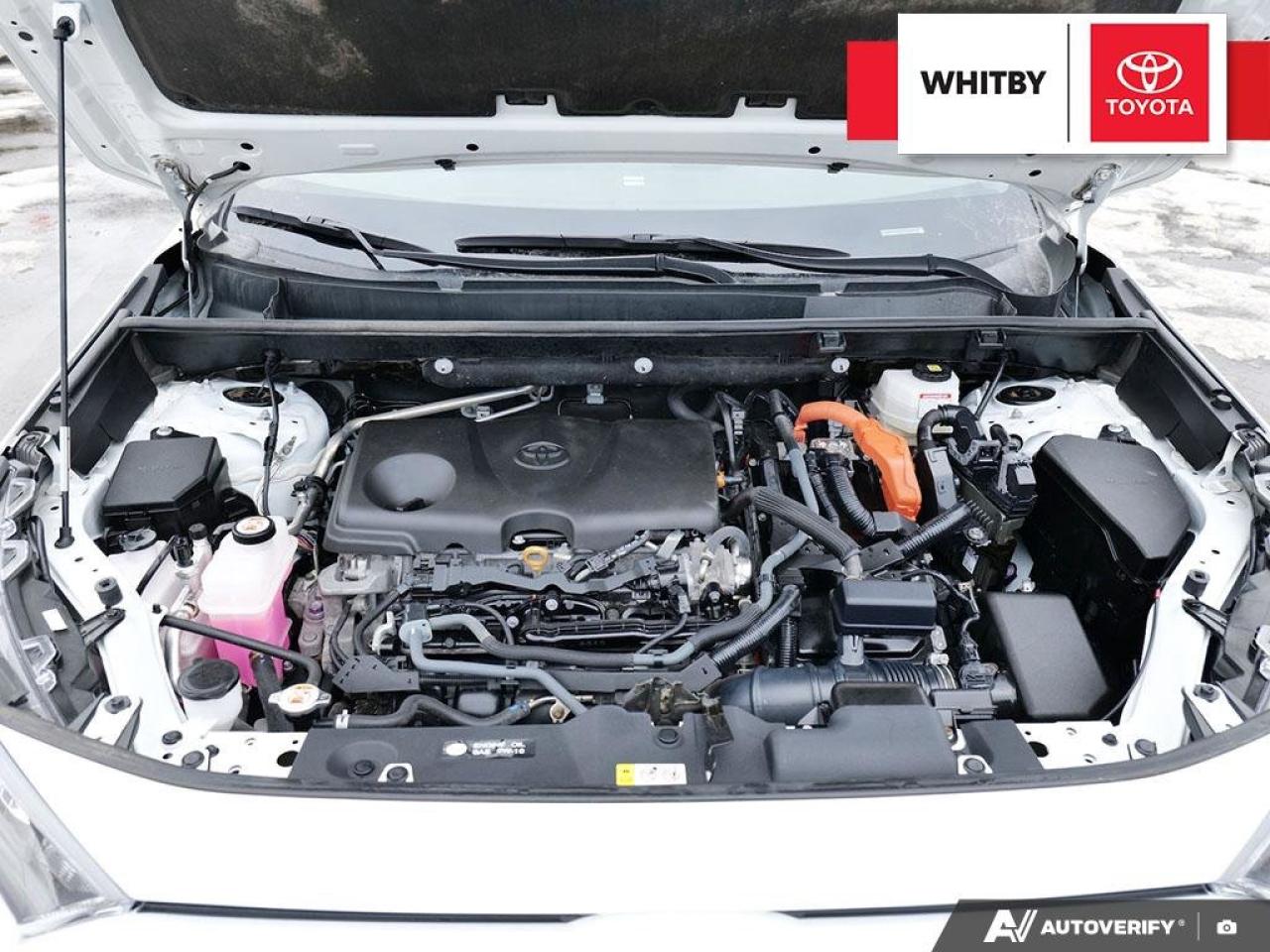 2022 Toyota RAV4 Hybrid LE 2.5L Photo