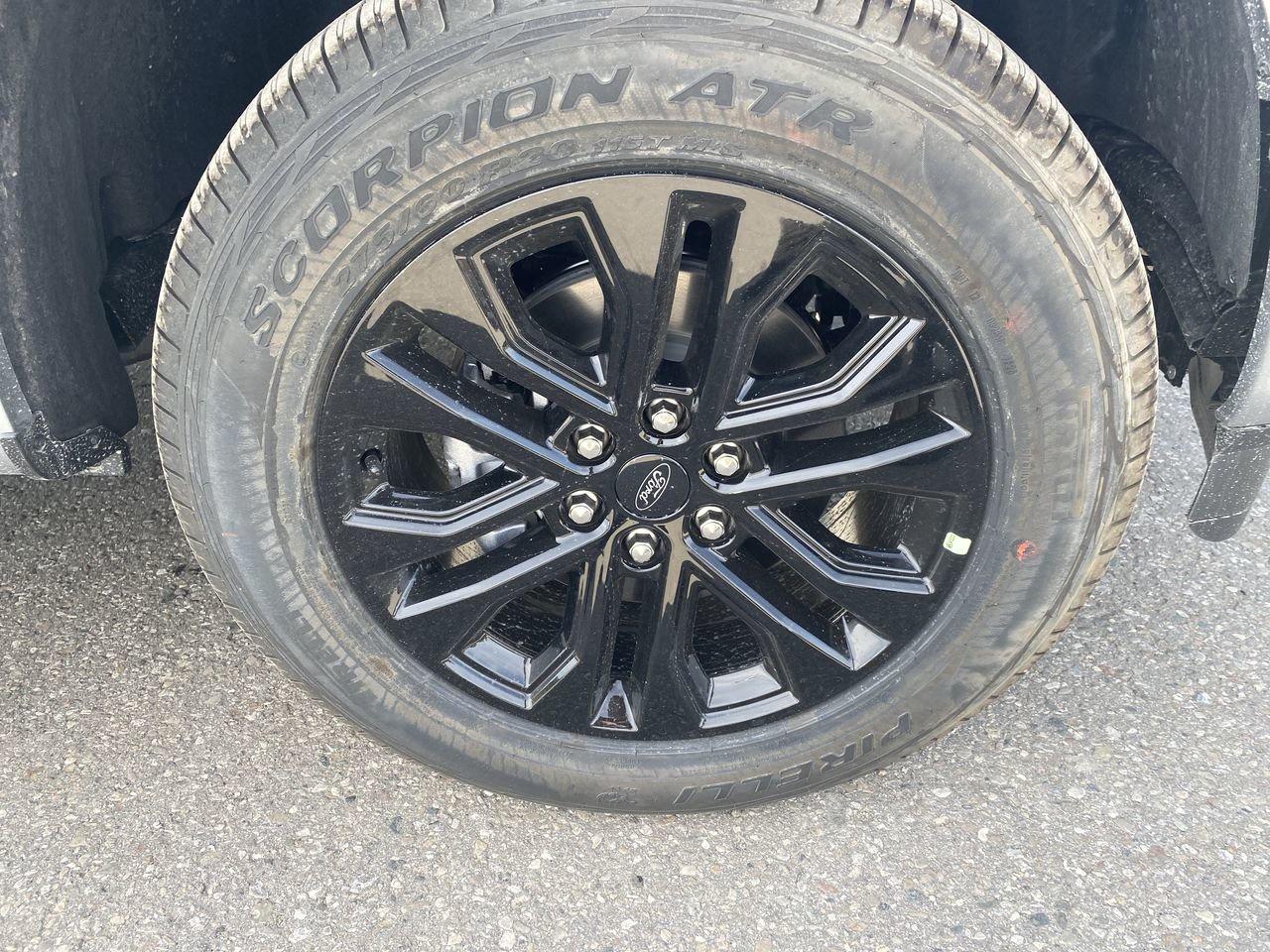 2025 Ford F-150 XLT Photo