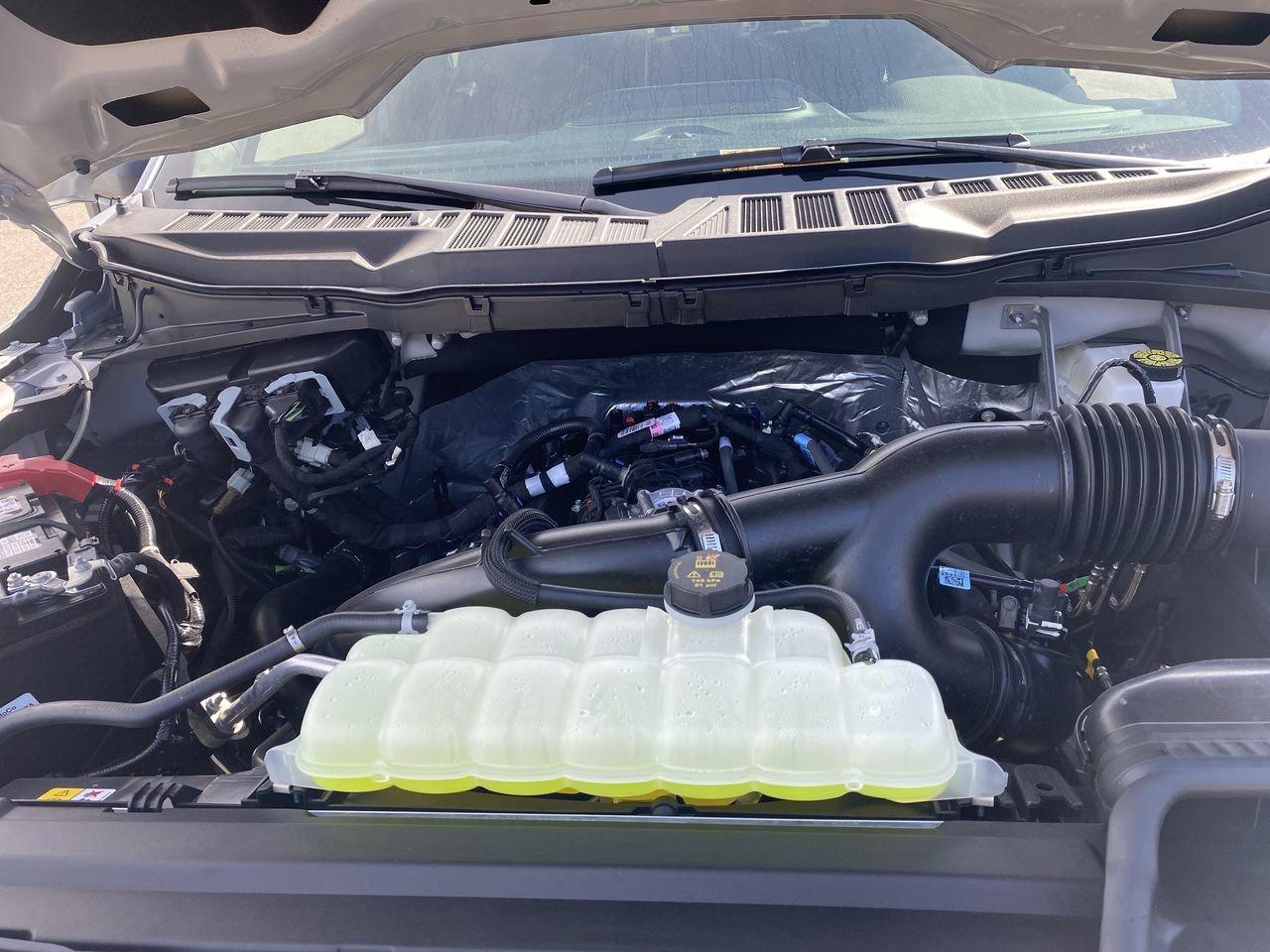 2025 Ford F-150 XLT Photo