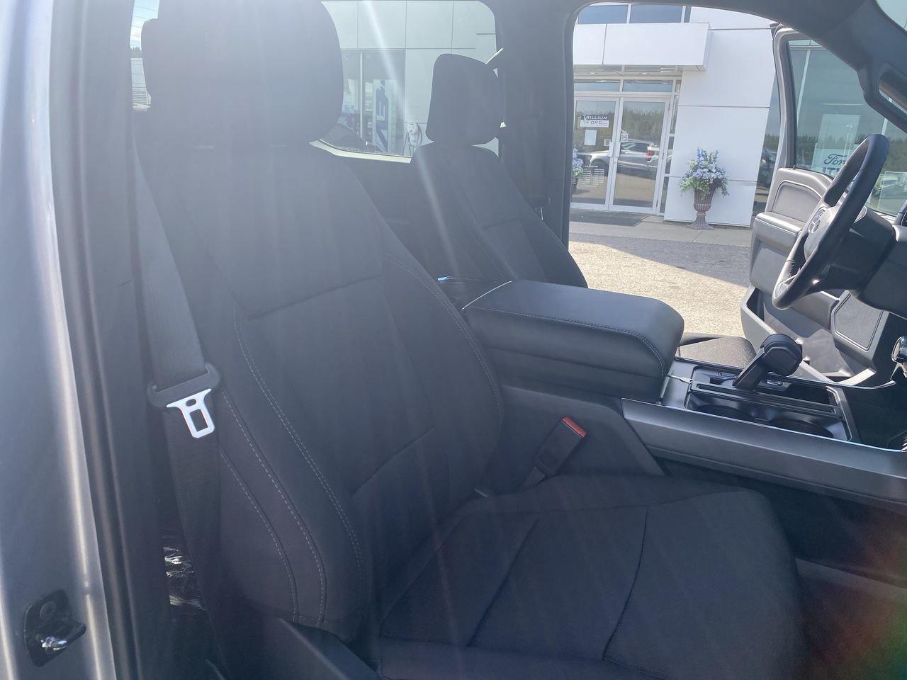 2025 Ford F-150 XLT Photo