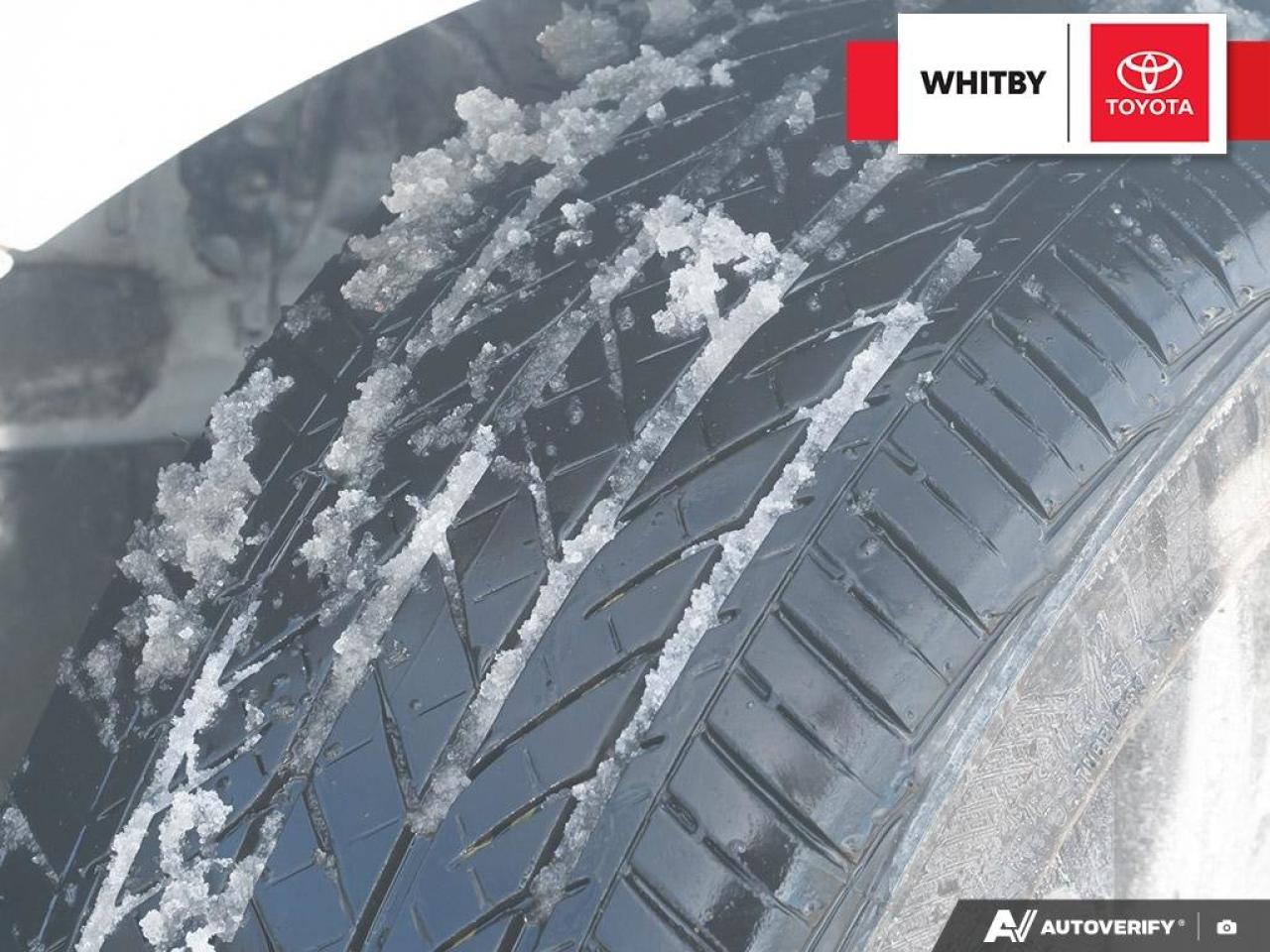 2025 Toyota Camry SE HYBRID 2.5L Photo