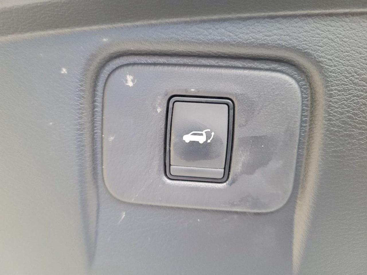 2017 Nissan Murano Platinum AWD Photo