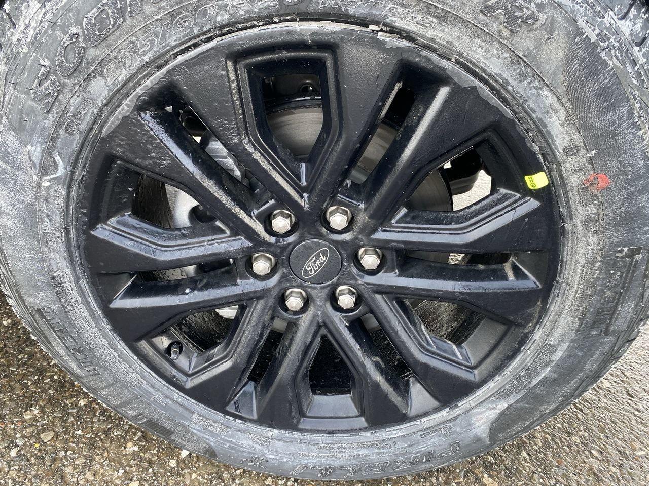 2026 Ford F-150 XLT Photo