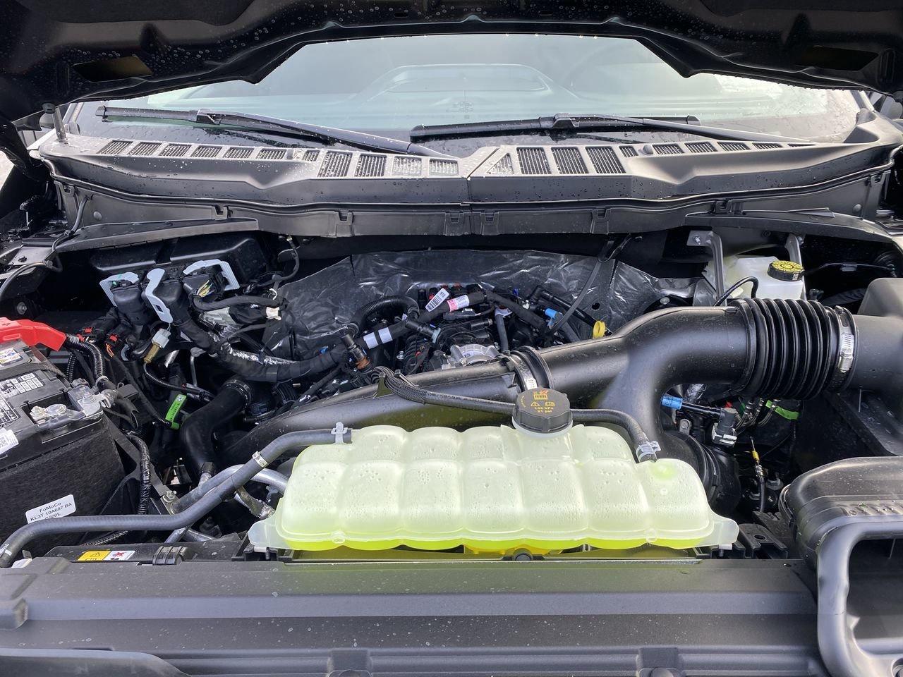 2026 Ford F-150 XLT Photo