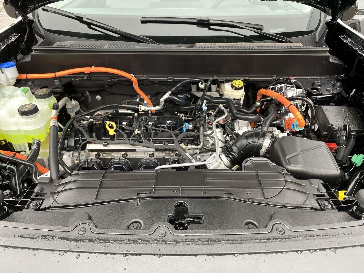 2026 Ford Maverick Hybrid XLT Photo