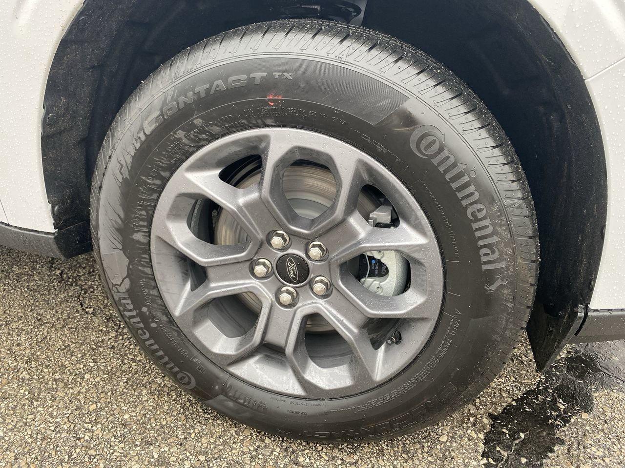 2026 Ford Maverick Hybrid XLT Photo