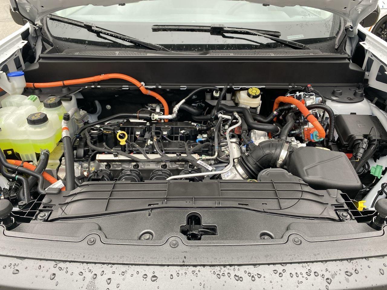 2026 Ford Maverick Hybrid XLT Photo