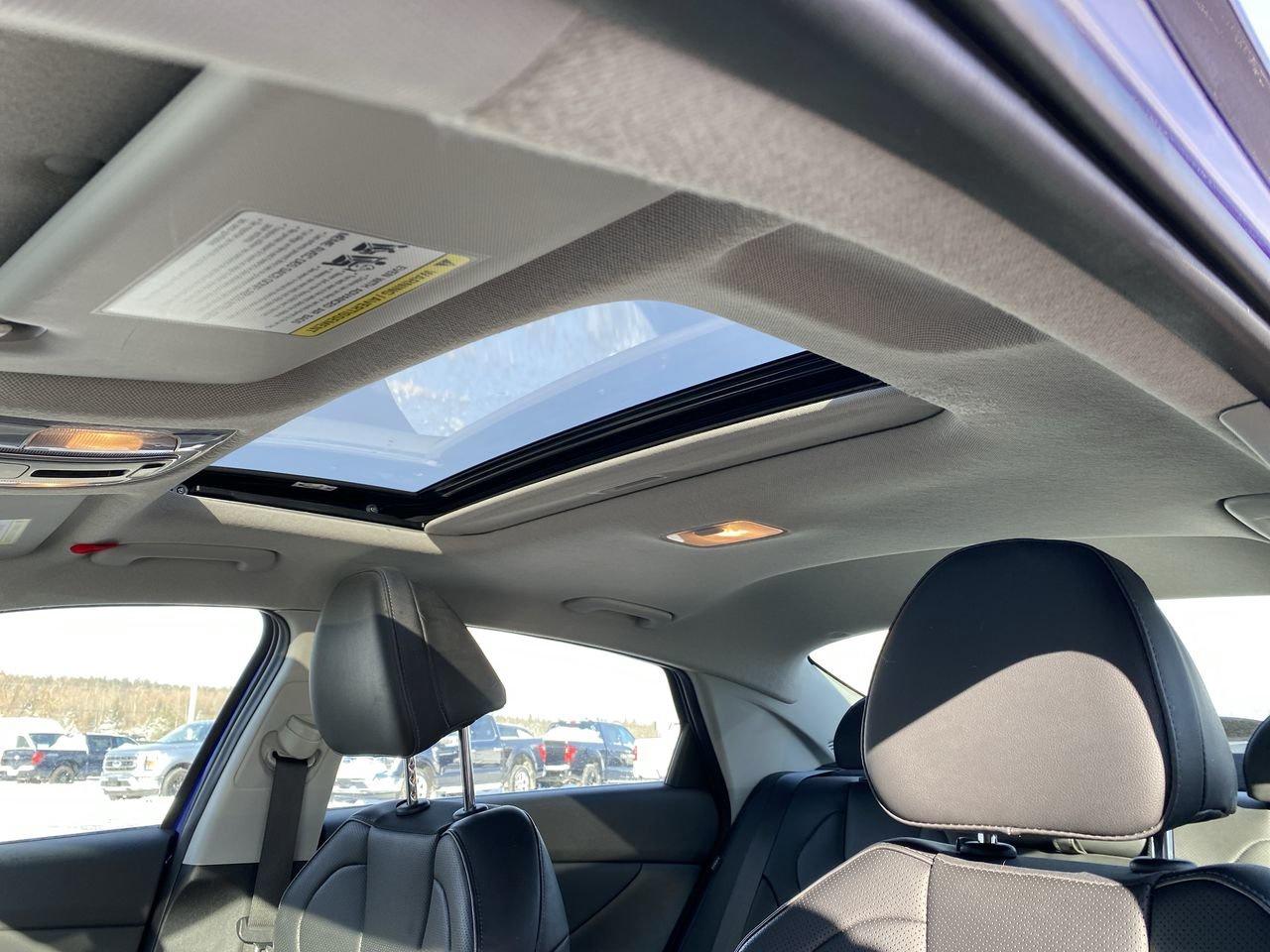 2024 Hyundai Elantra Luxury Photo