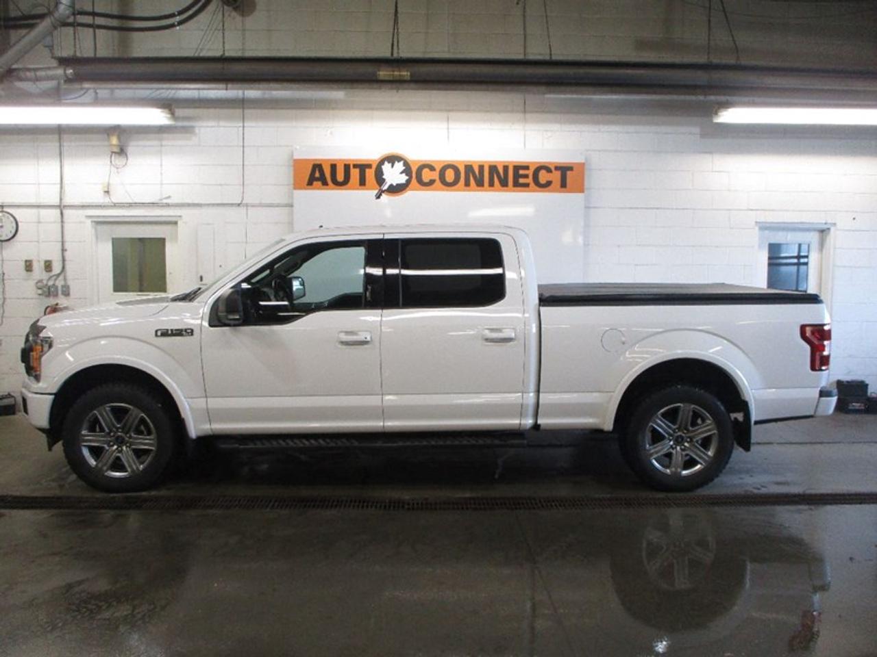 2019 Ford F-150 XLT 6.5-ft. Bed Photo1