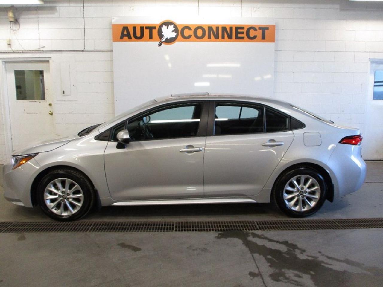 2022 Toyota Corolla LE Photo