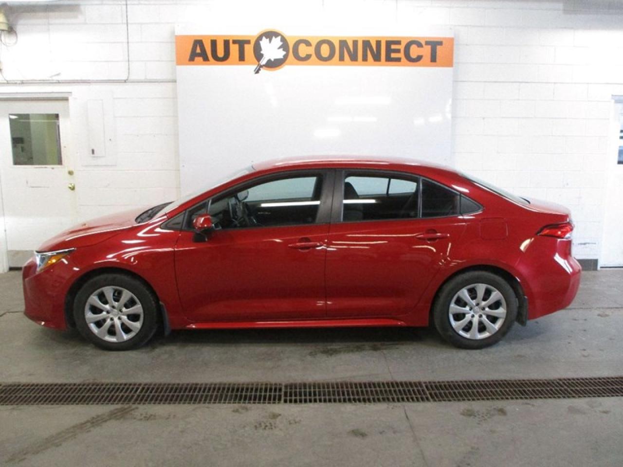 2020 Toyota Corolla LE Photo