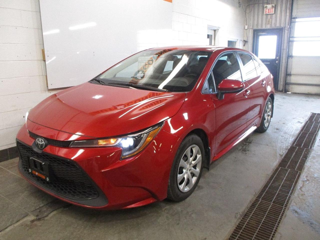 2020 Toyota Corolla LE Photo