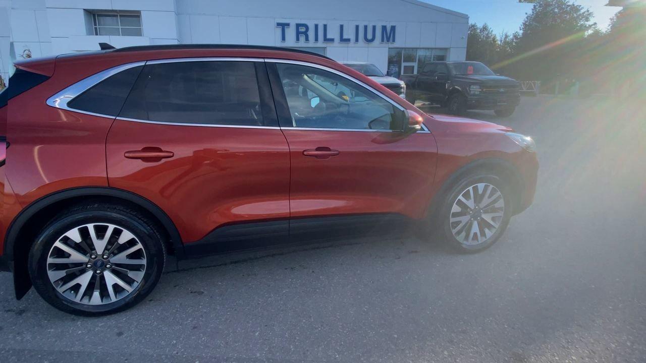 2020 Ford Escape Titanium Hybrid Photo